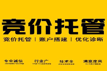 行业领先企业的网络推广开户策略